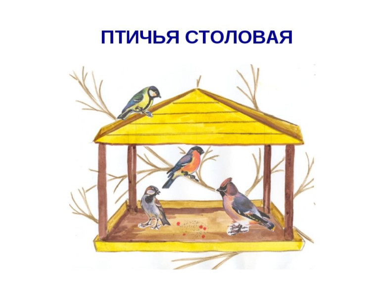 Конкурс "Птичья столовая".